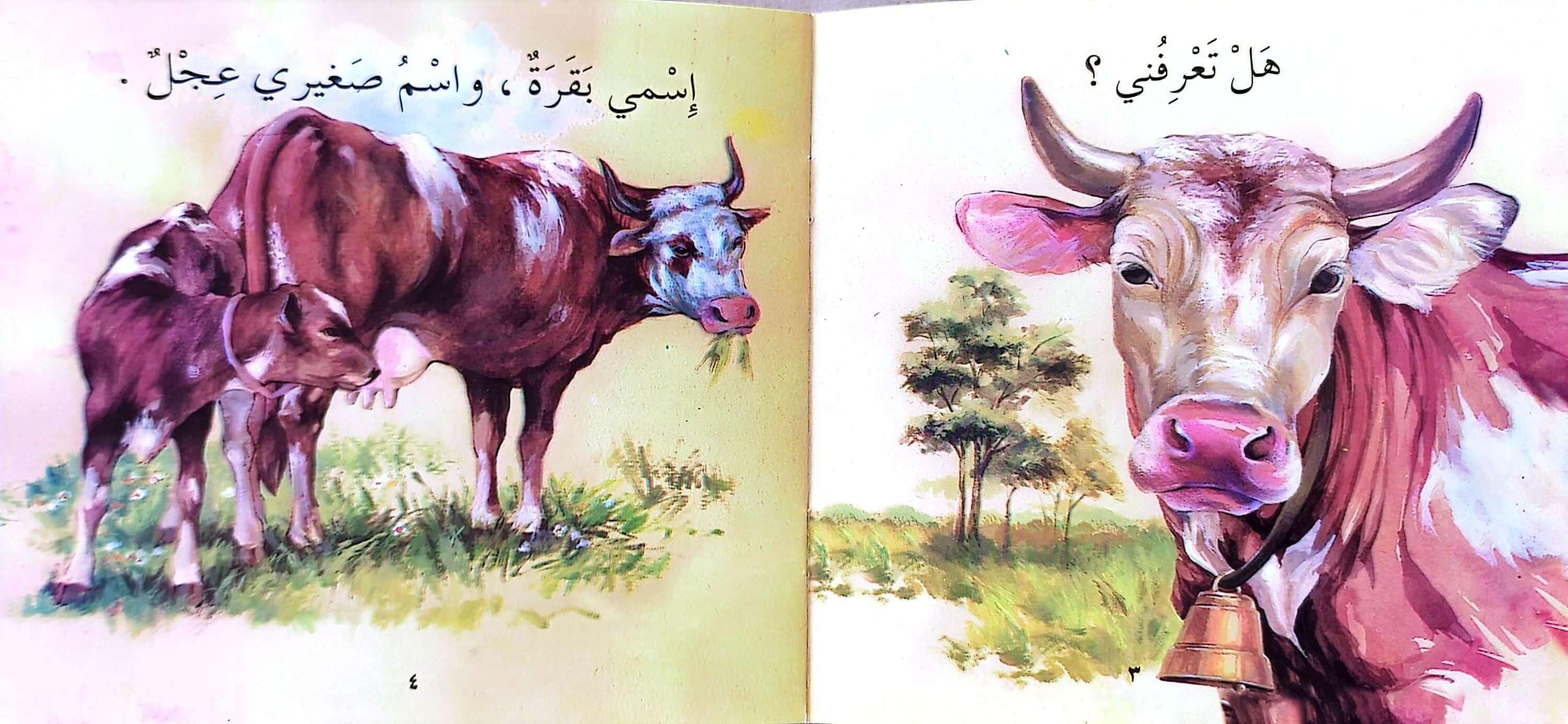 Illustrated book page showing a cow and her calf on the left, and a cow with a bell looking at the viewer on the right, titled 