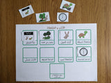 Arabic Storyboard Activity Printable Resource | Hare and Tortoise | Digital File - قصة الأرنب و السلحفاة ونشاطات أوراق العمل - Arabic Joy